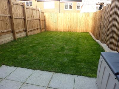 Picture 9